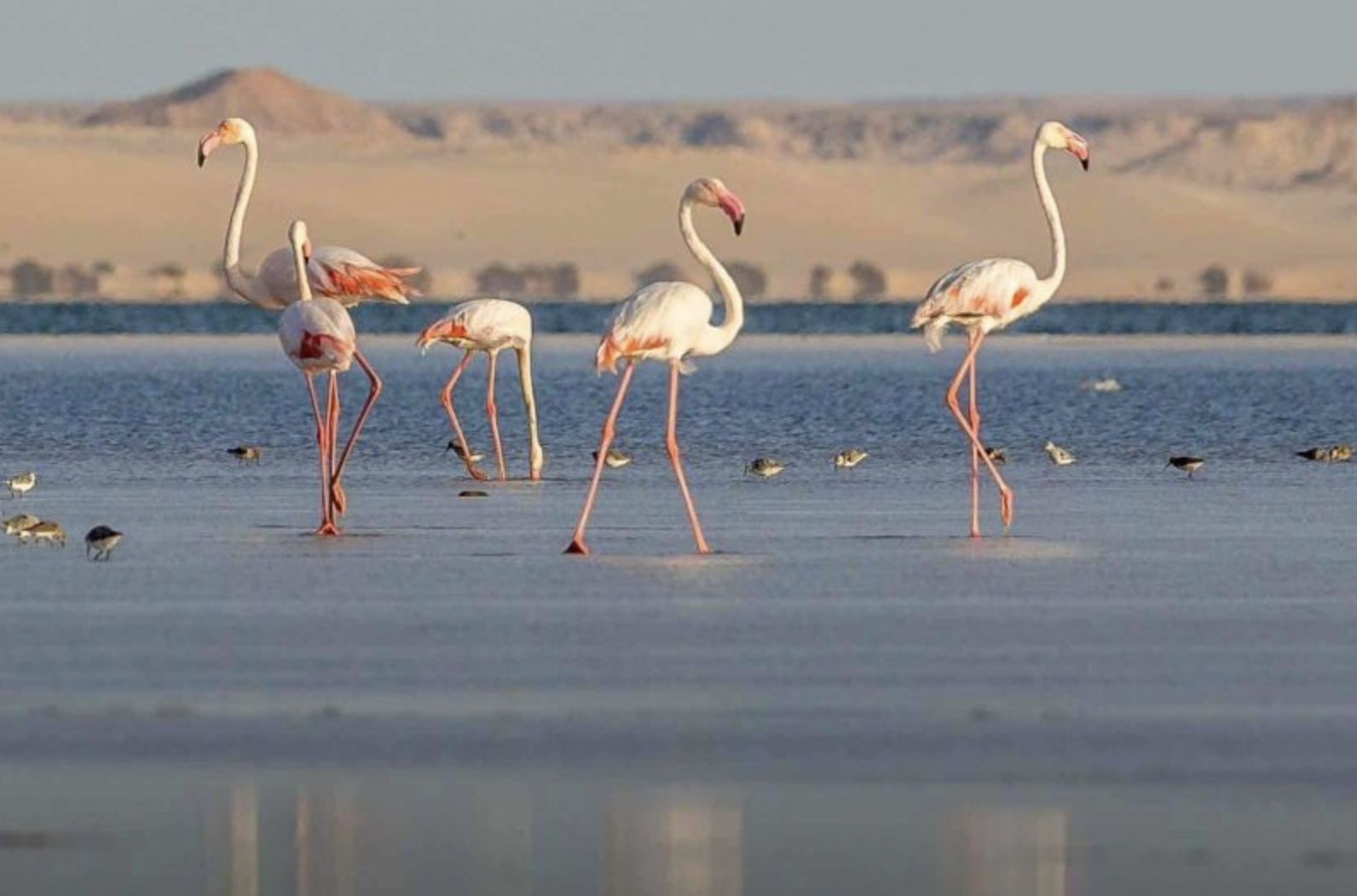 Dakhla las mejores actividades